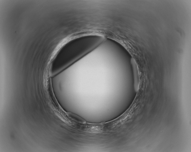 X0000112870056200908211038