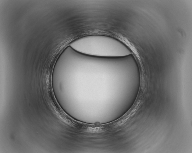 X0000112870057200908211038