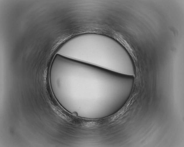 X0000112870058200908211038