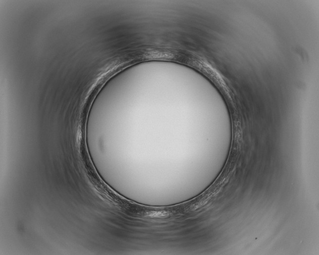 X0000112870059200908211038