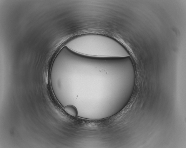 X0000112870062200908211038