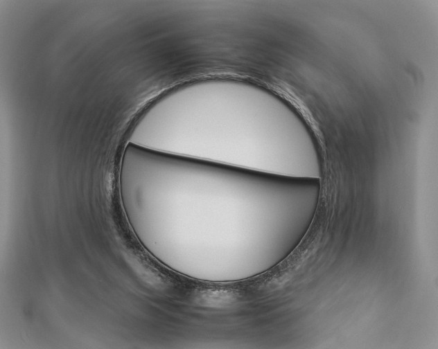 X0000112870063200908211038