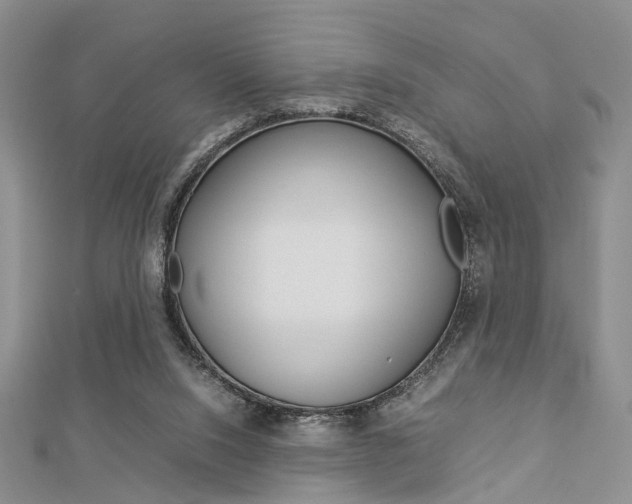 X0000112870064200908211038