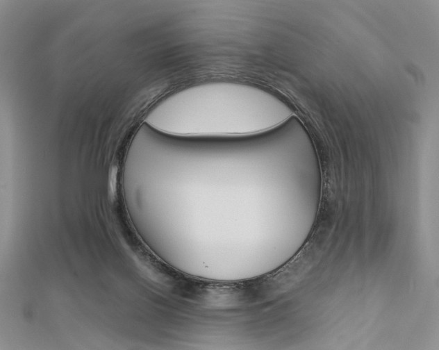 X0000112870070200908211039