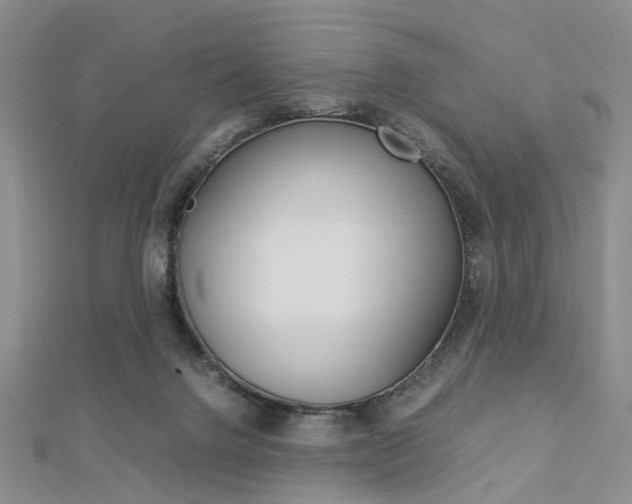 X0000112870072200908211039