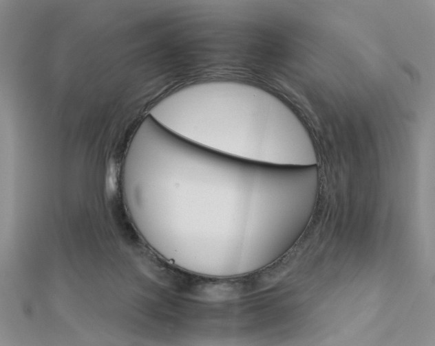 X0000112870075200908211039