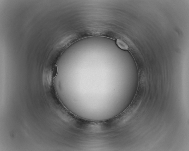 X0000112870076200908211039