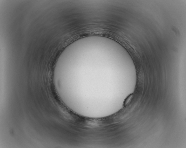 X0000112870079200908211039