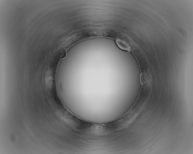 X0000112870080200908211039
