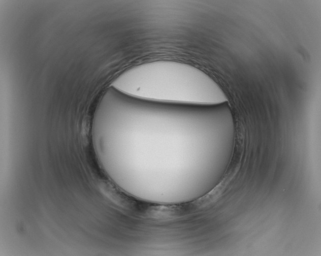 X0000112870082200908211039