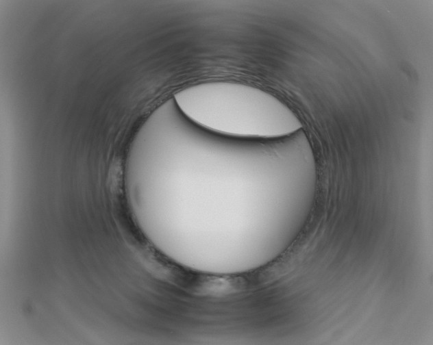 X0000112870083200908211039