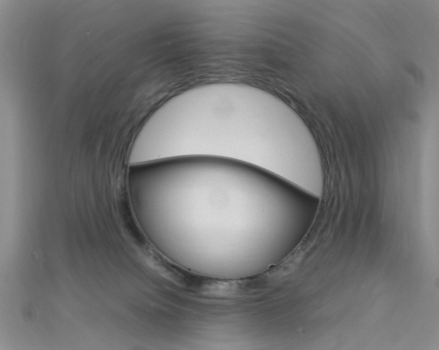 X0000112870084200908211039