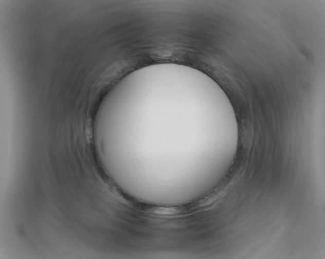 X0000112870085200908211039