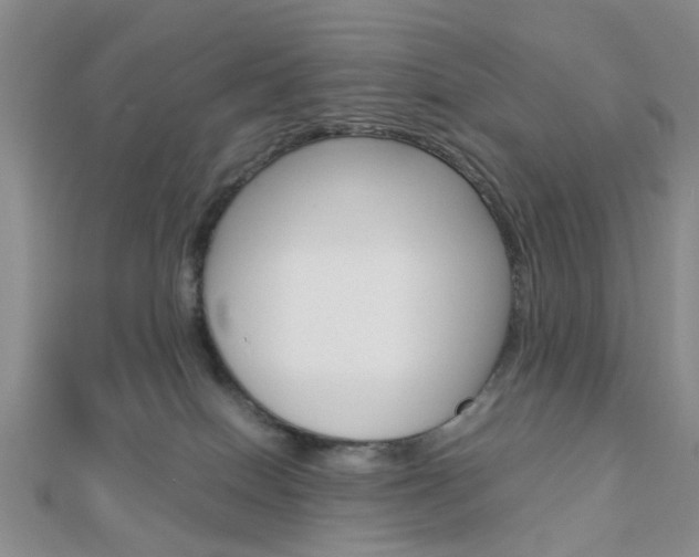 X0000112870086200908211039