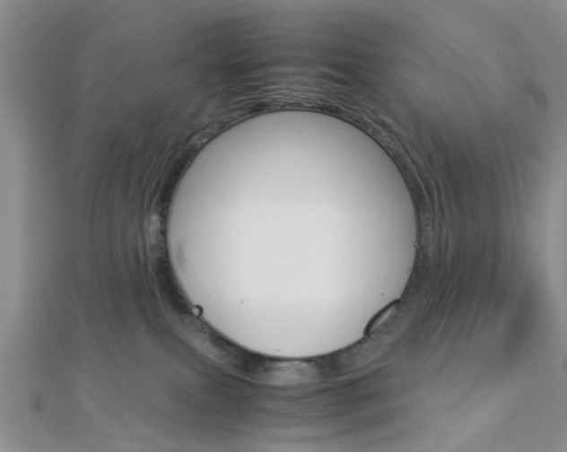 X0000112870087200908211039