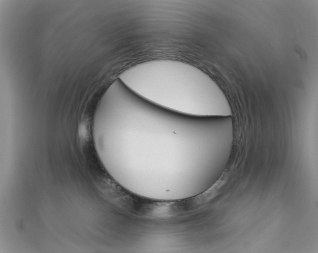 X0000112870090200908211039