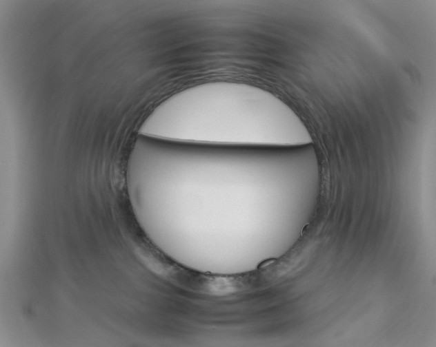 X0000112870091200908211039