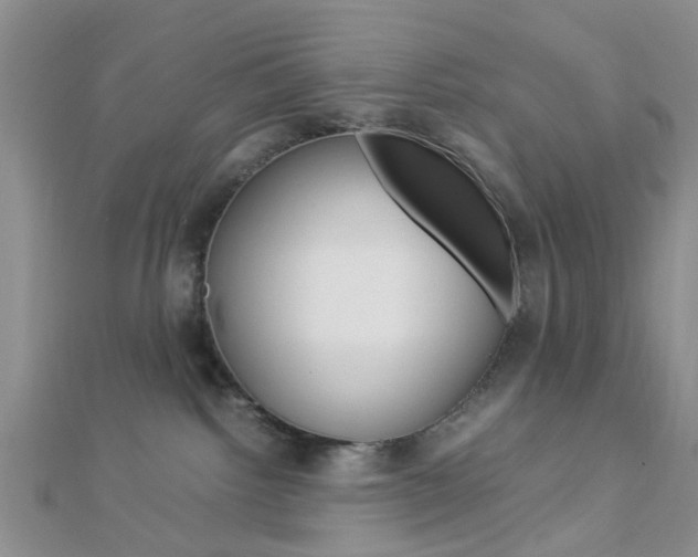 X0000112870092200908211039