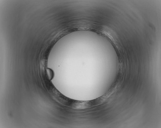 X0000112870093200908211039