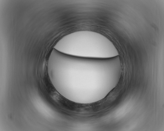 X0000112870095200908211039
