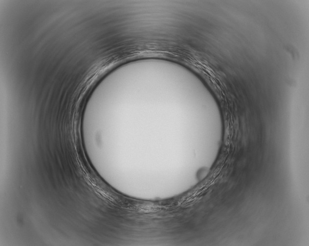 X0000112870098200908211038