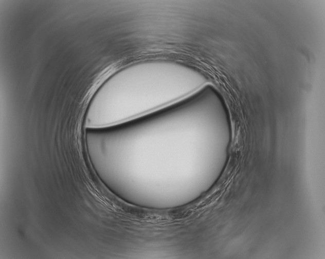 X0000112870099200908211038