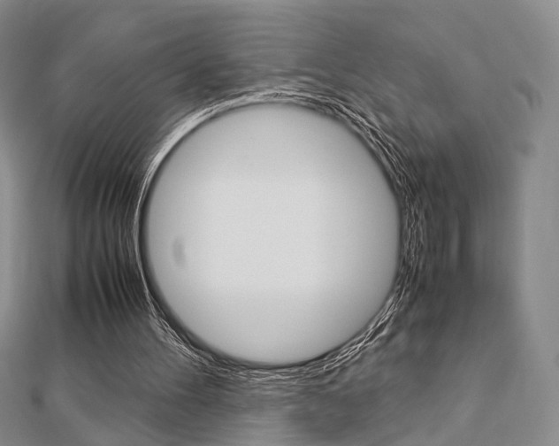 X0000112870100200908211038