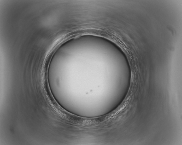 X0000112870101200908211038