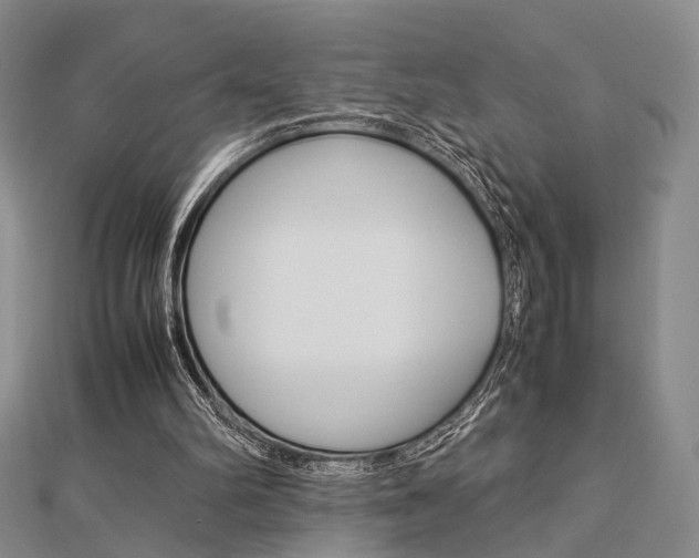 X0000112870102200908211038