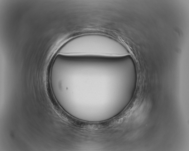 X0000112870103200908211038