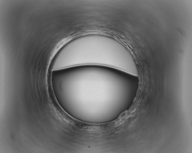 X0000112870104200908211038