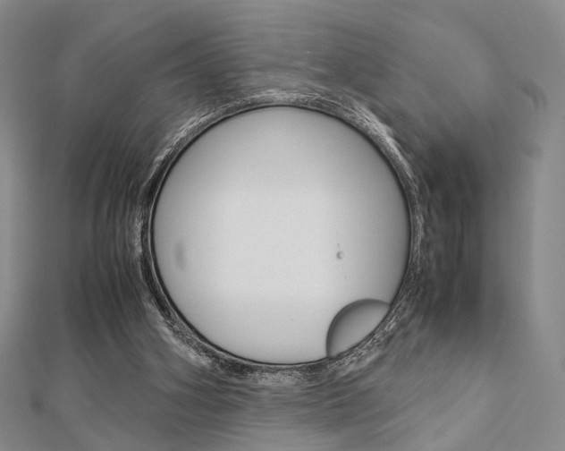 X0000112870106200908211038