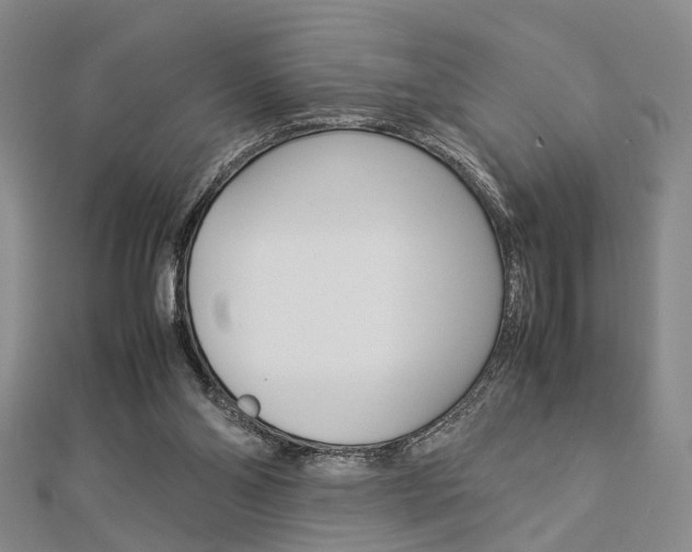 X0000112870110200908211038