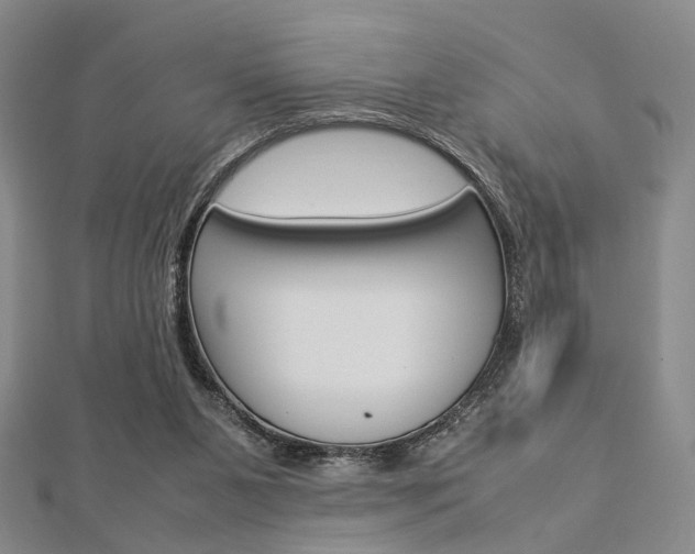 X0000112870111200908211038