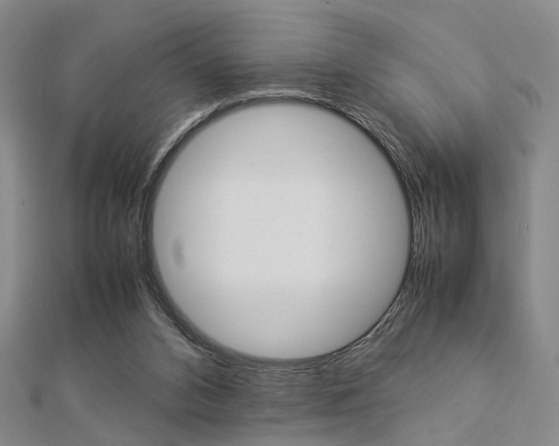 X0000112870112200908211038