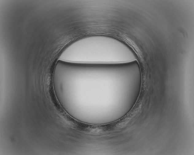 X0000112870113200908211038