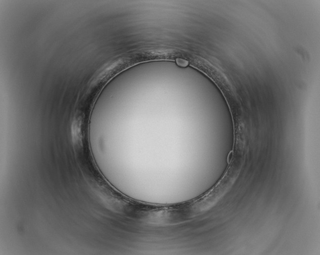X0000112870116200908211038