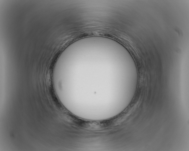 X0000112870121200908211038