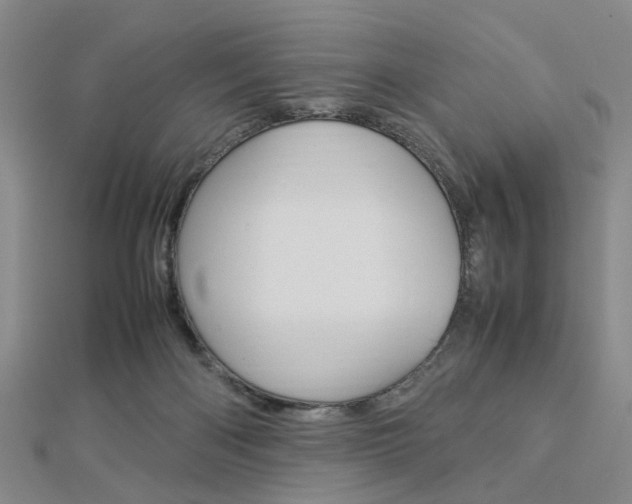 X0000112870122200908211038