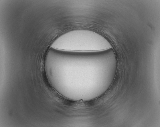X0000112870123200908211038