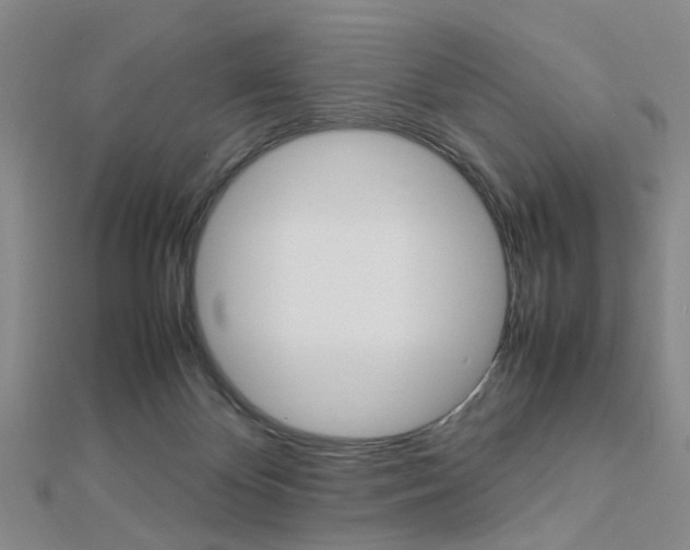 X0000112870124200908211038