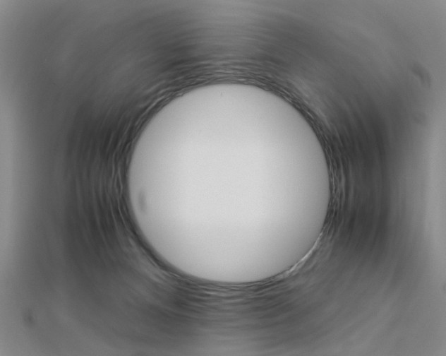X0000112870128200908211038