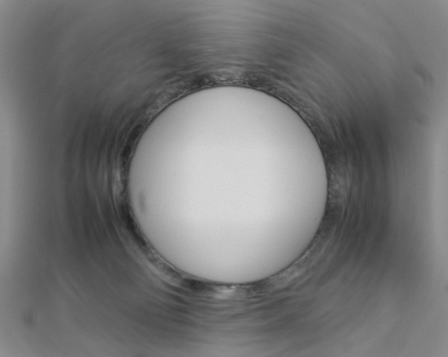 X0000112870130200908211038