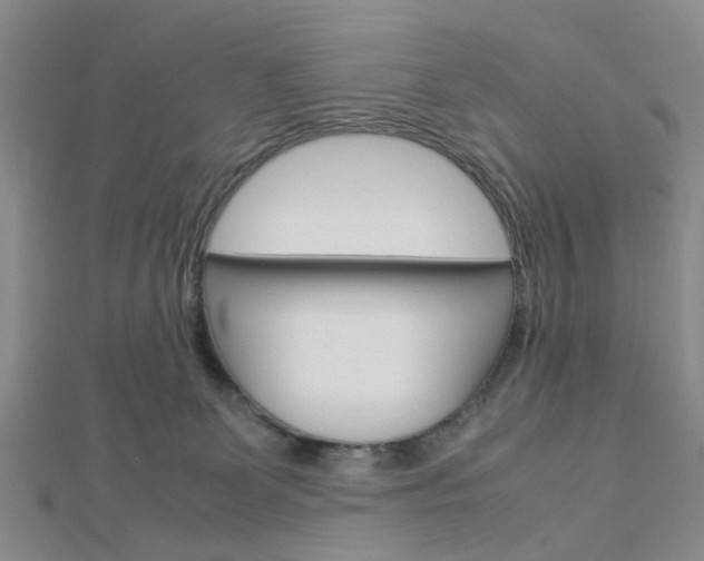 X0000112870131200908211038