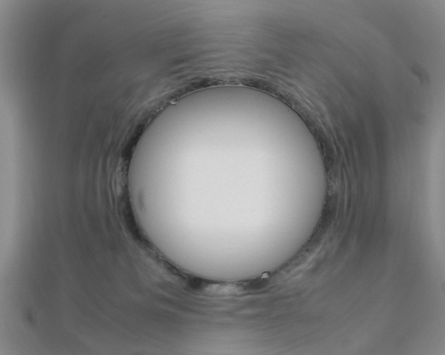 X0000112870133200908211038