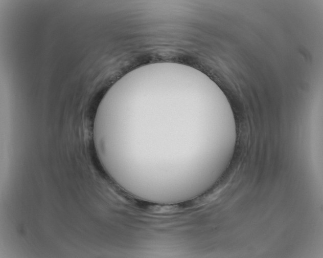 X0000112870135200908211038