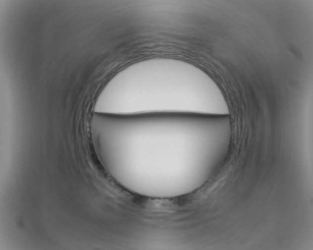X0000112870137200908211038