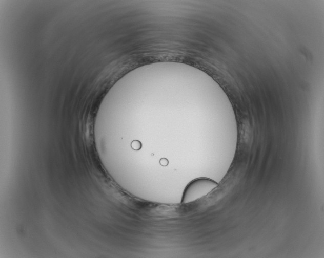 X0000112870138200908211038