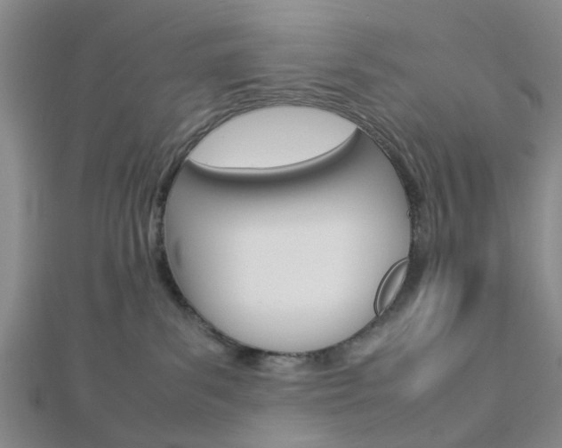 X0000112870139200908211038