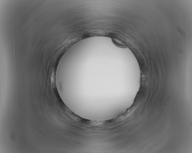 X0000112870143200908211038